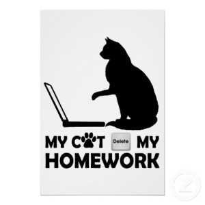 My cat deleted my homework